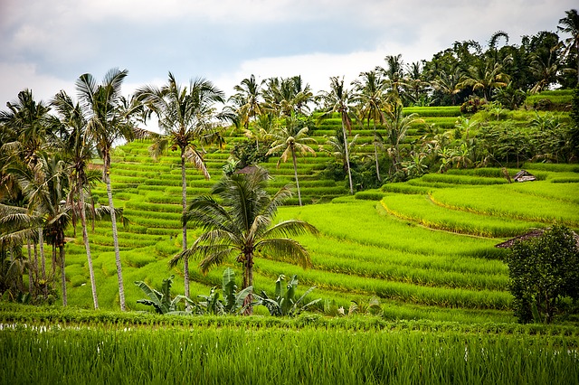 You are currently viewing Von Urlaub zu Urlaub zurück nach Asien